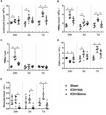 Simvastatin Reduces Neutrophils Infiltration Into Brain Parenchyma After Intracerebral Hemorrhage via Regulating Peripheral Neutrophils Apoptosis